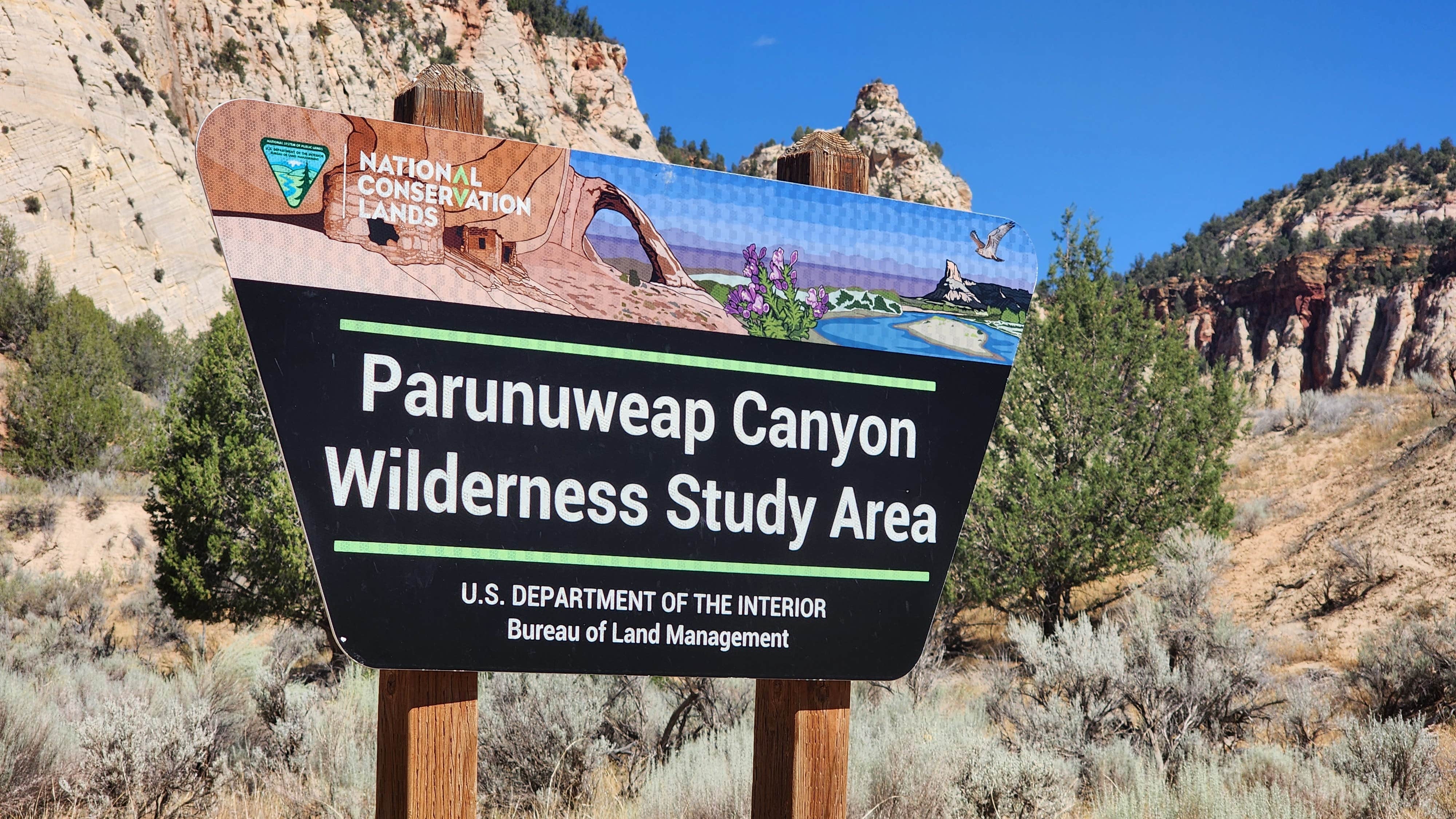 Camper submitted image from Parunuweap Canyon - 2