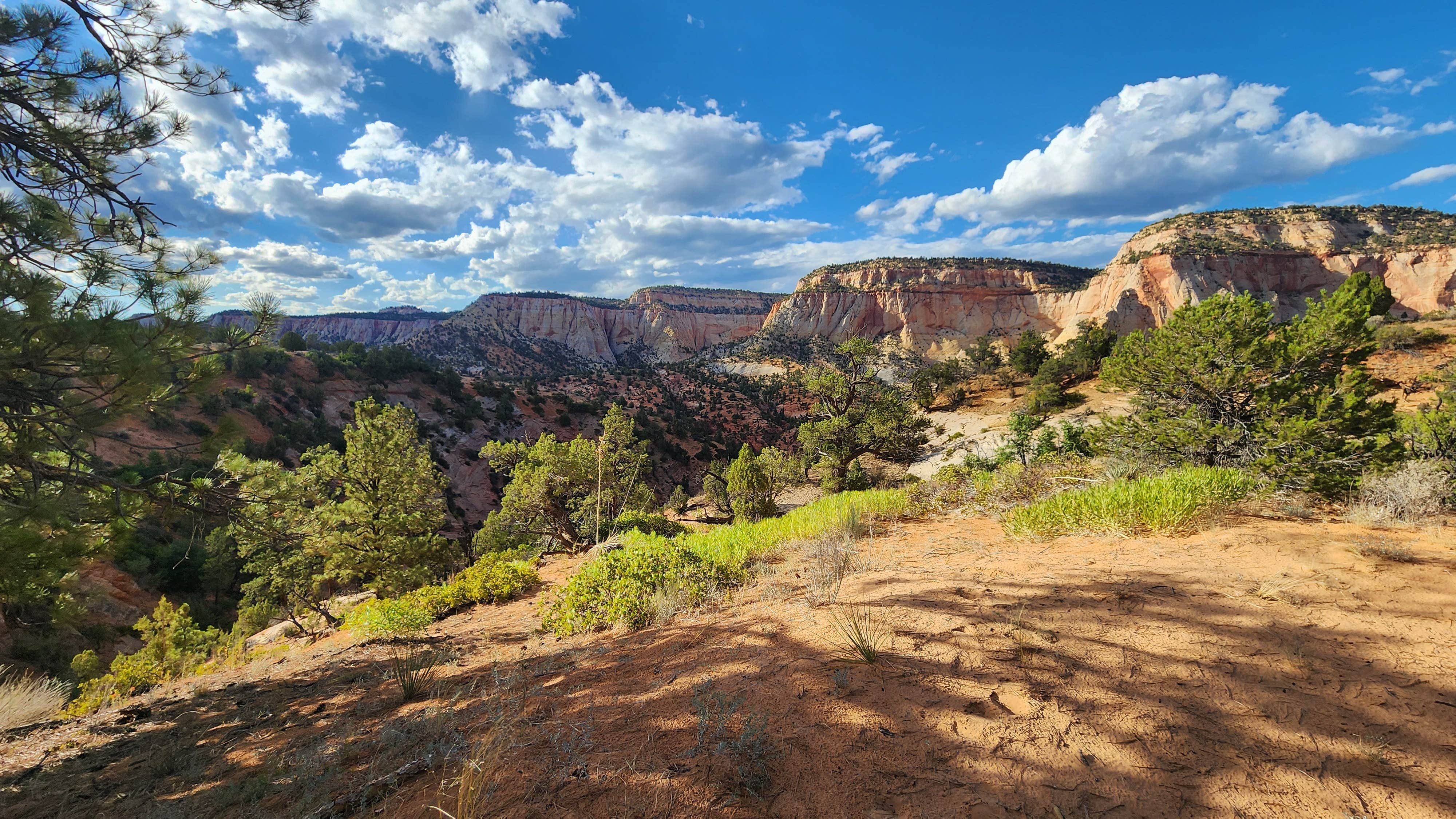 Camper submitted image from Parunuweap Canyon - 1