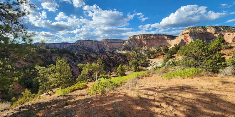 Camper submitted image from Parunuweap Canyon