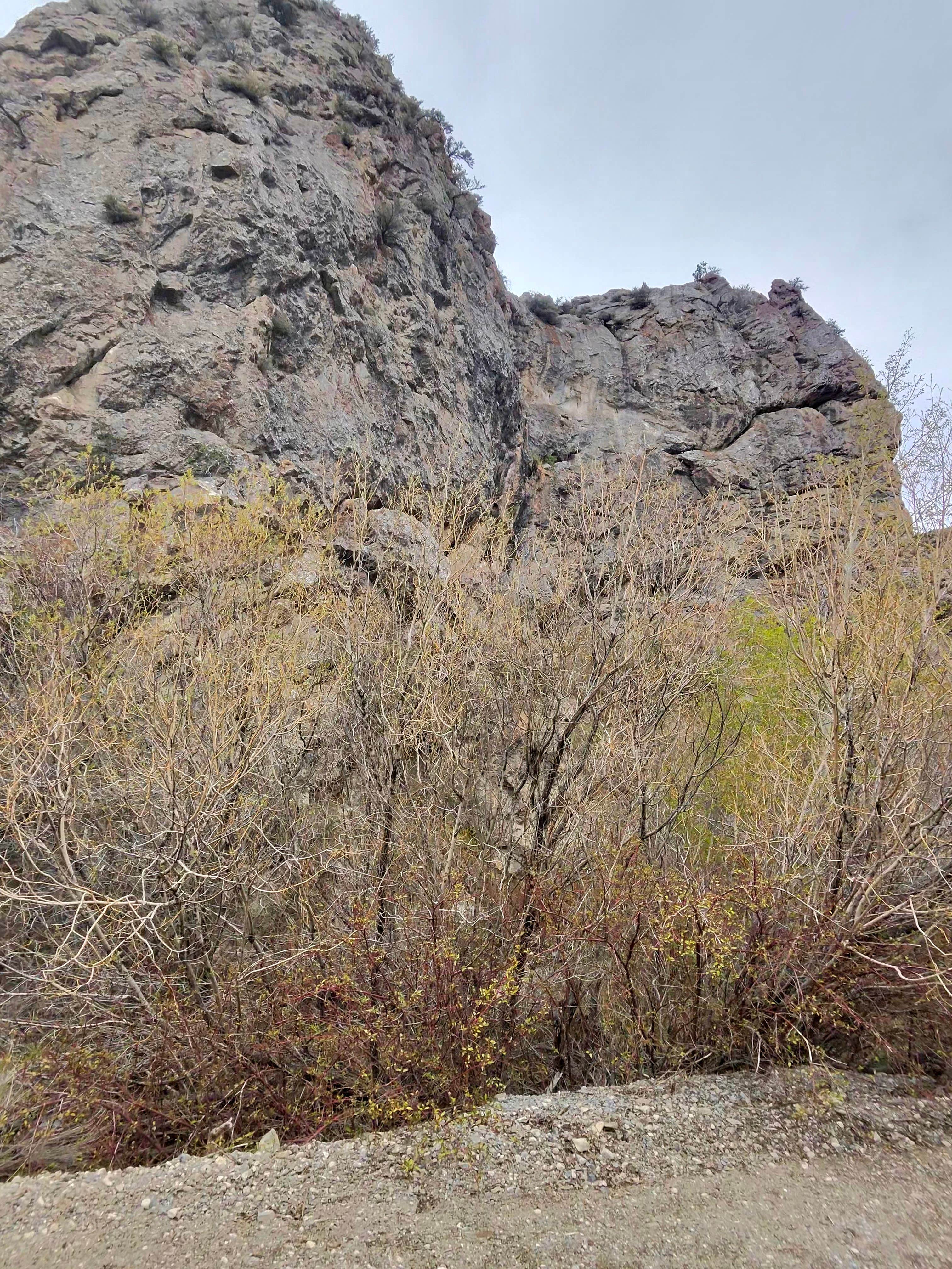 Camping near Mackay Reservoir Fishing Access: Pass Creek Narrows Camping Area & Picnic Site, Mackay, Idaho