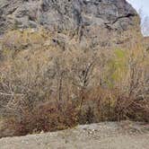 Review photo of Pass Creek Narrows Camping Area & Picnic Site by Trish T., April 30, 2026