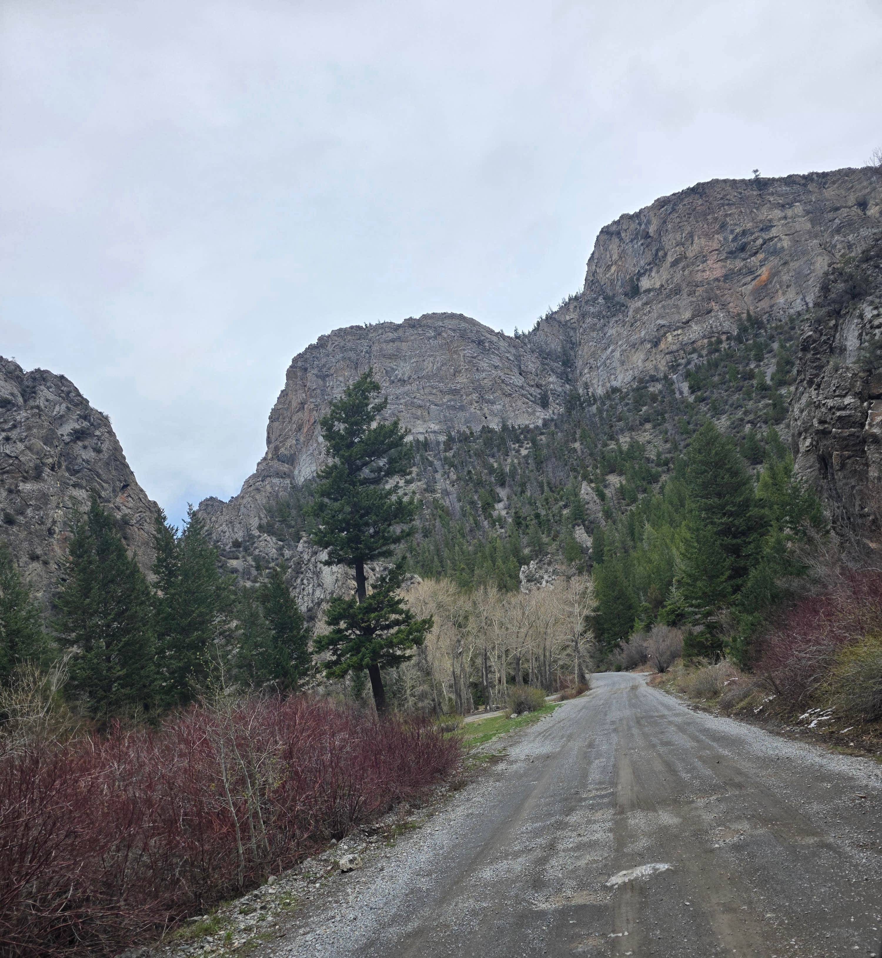 Camper-submitted photo at Pass Creek Narrows Camping Area & Picnic Site near Mackay, ID