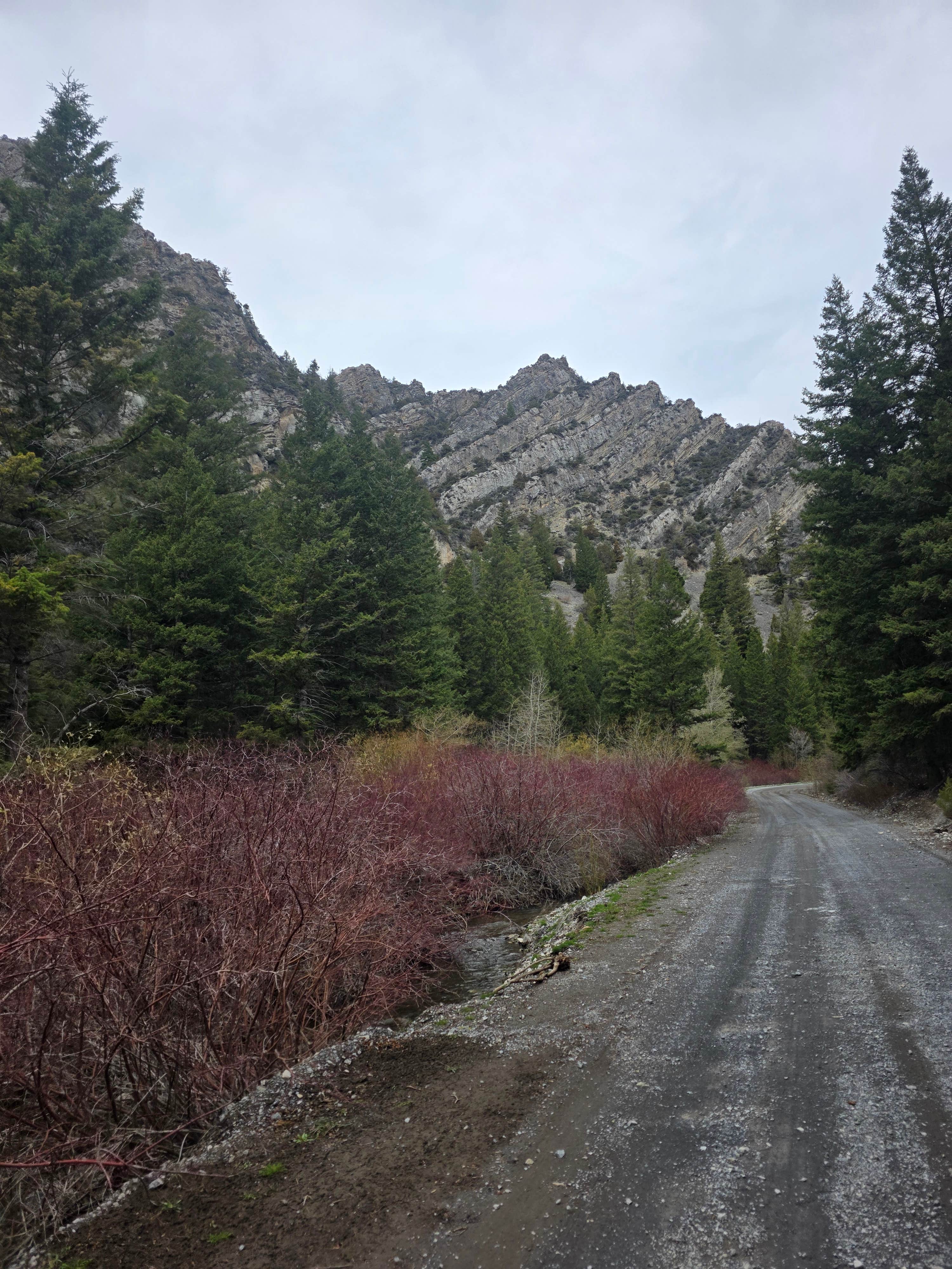 Camper-submitted photo at Pass Creek Narrows Camping Area & Picnic Site near Mackay, ID
