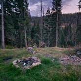 Review photo of Pass Creek Road Dispersed Camping by Jason , September 12, 2024