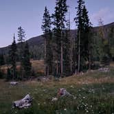 Review photo of Pass Creek Road Dispersed Camping by Jason , September 12, 2024