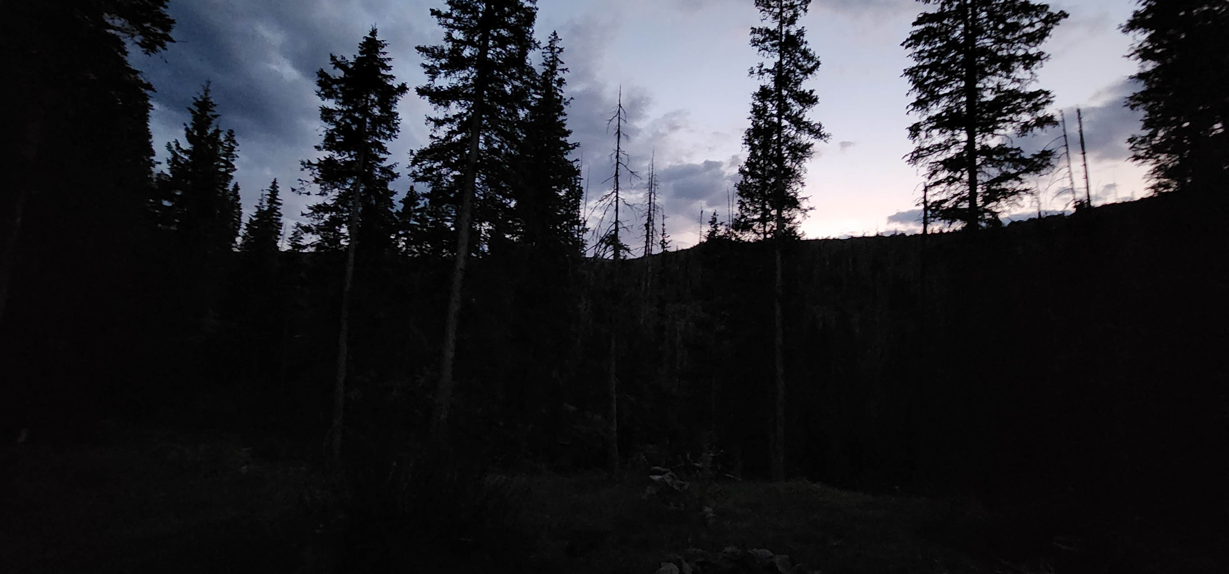Camper-submitted photo at Pass Creek Road Dispersed Camping near Rio Grande National Forest