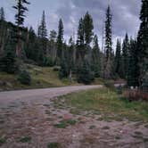 Review photo of Pass Creek Road Dispersed Camping by Jason , September 12, 2024