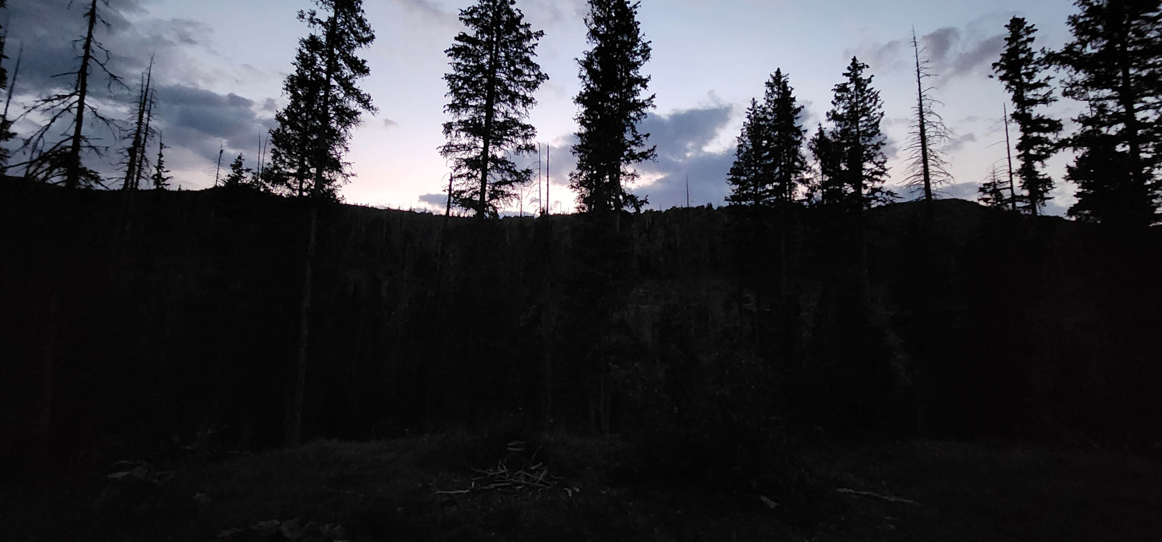Camper-submitted photo at Pass Creek Road Dispersed Camping near Rio Grande National Forest