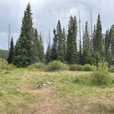 Review photo of Pass Creek Road Dispersed Camping by Justin M., July 13, 2026