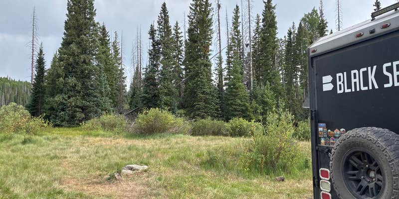 Camper submitted image from Pass Creek Road Dispersed Camping
