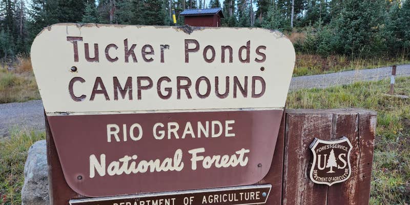 Camper submitted image from Pass Creek