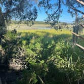 Review photo of Patapsco Valley State Park-Hilton Area by Caleb S., July 31, 2025