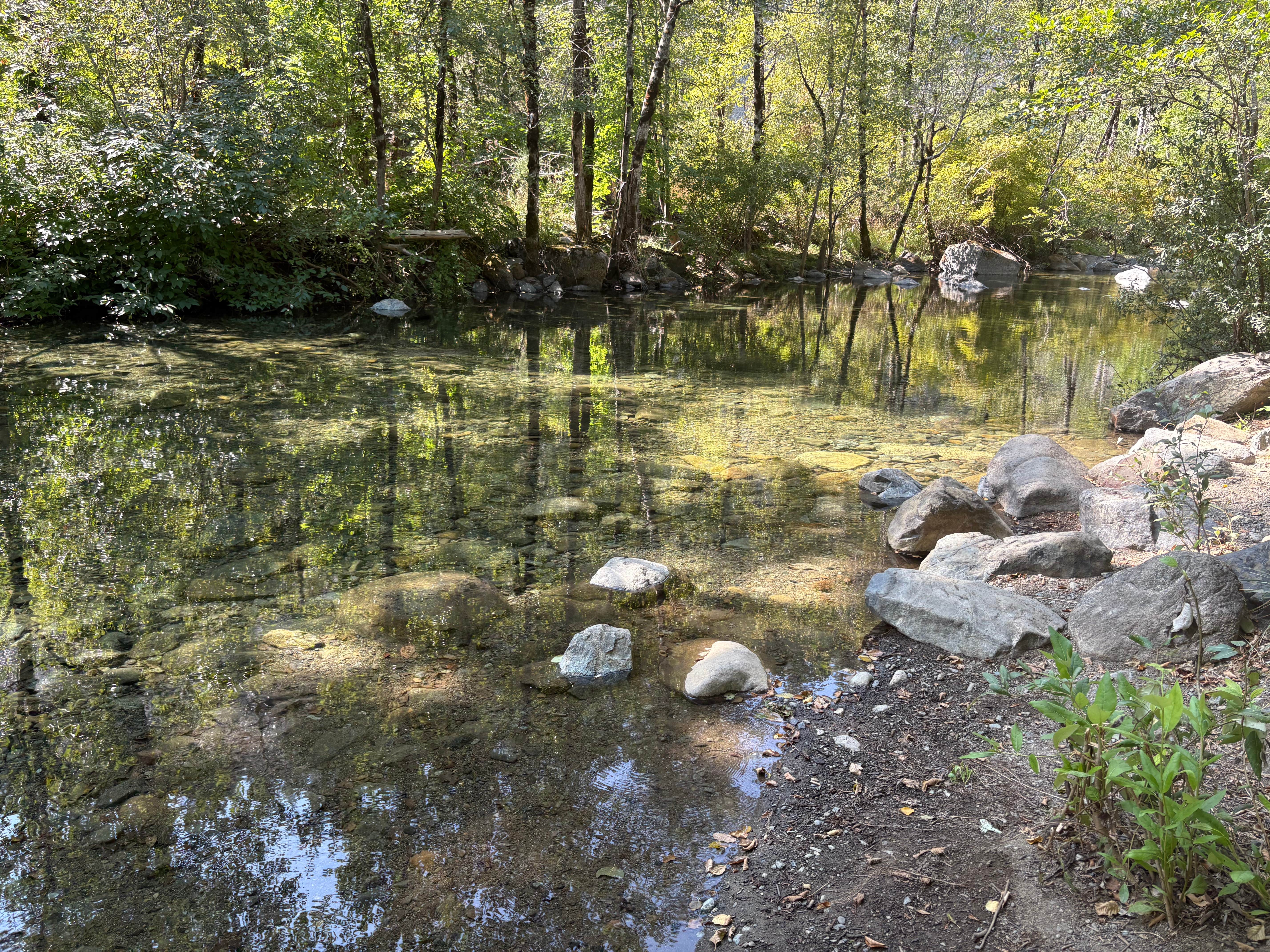 Camper-submitted photo at Patrick Creek Dispersed Camping near Smith River, CA