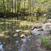 Review photo of Patrick Creek Dispersed Camping by Sarah S., August 29, 2025