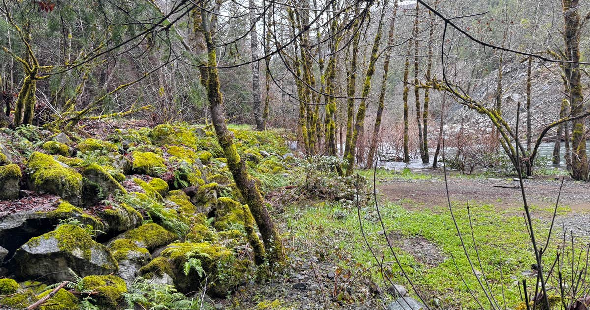 Patrick Creek Dispersed Camping