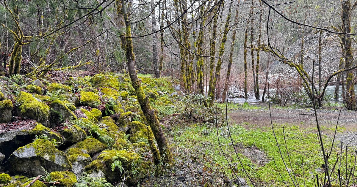 Patrick Creek Dispersed Camping