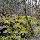 Review photo of Patrick Creek Dispersed Camping by Chinh N., March 20, 2025
