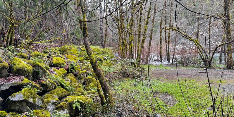 Camper submitted image from Patrick Creek Dispersed Camping