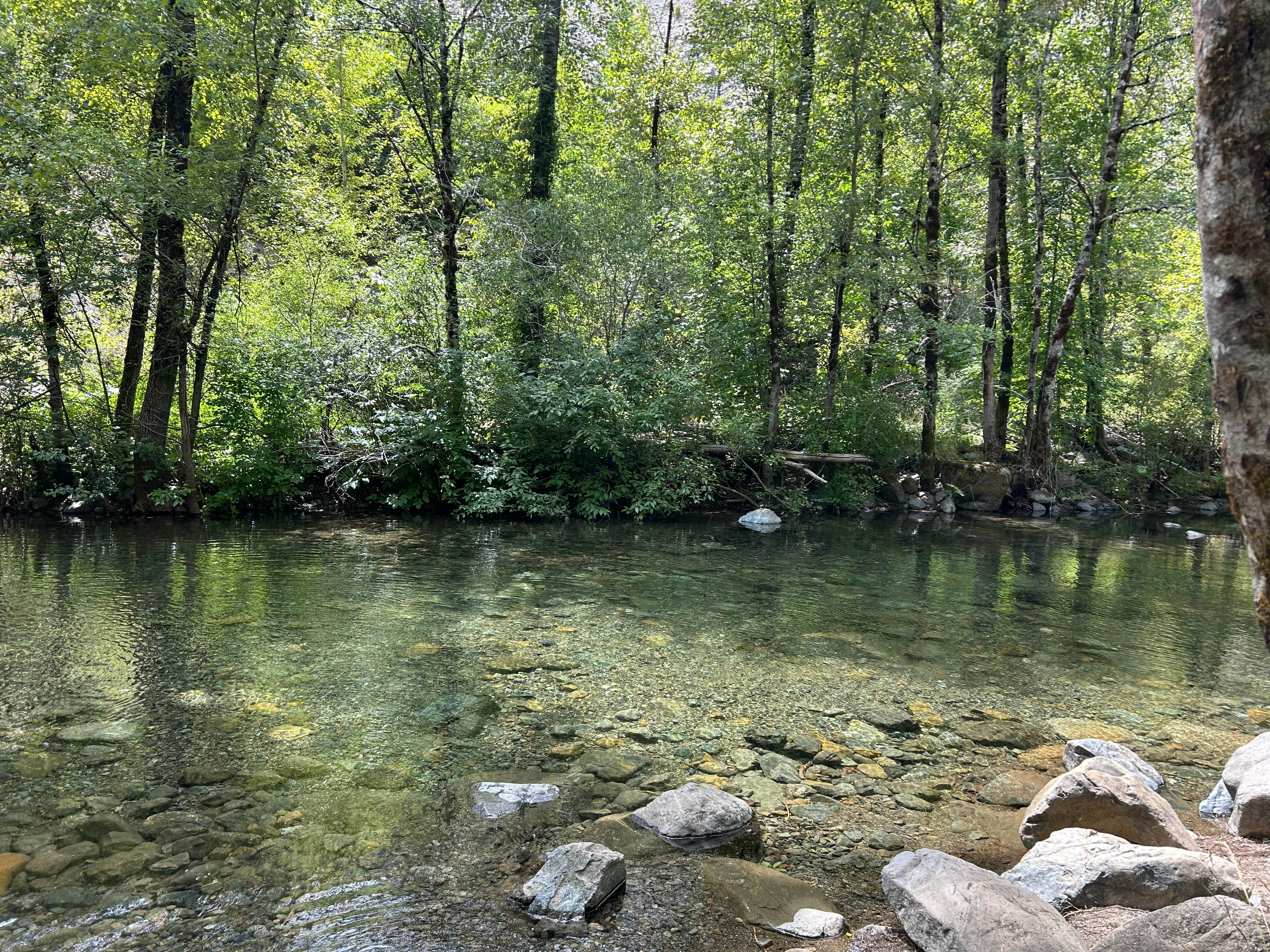 Ruby M.'s photo of a dispersed camping area at Patrick Creek Dispersed Camping near Redwood National Park
