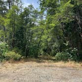 Review photo of Patrick Creek Dispersed Camping by Ruby M., July 5, 2026