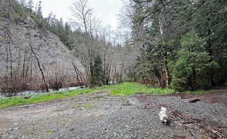 Chinh N.'s photo of camping with pets at Patrick Creek Dispersed Camping near Kerby, OR
