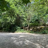 Review photo of Patrick Creek Dispersed Camping by Ruby M., July 5, 2026