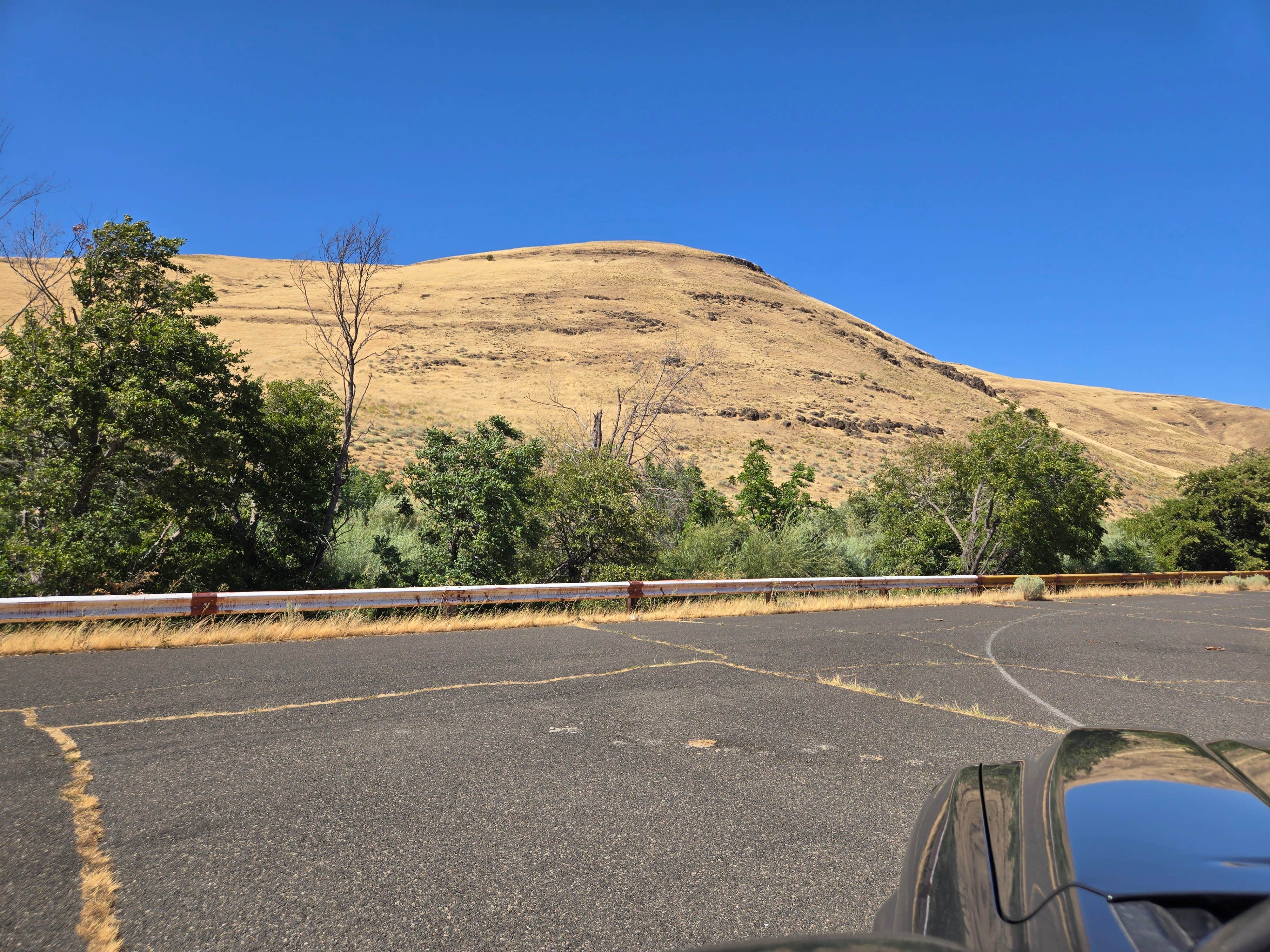 Camper-submitted photo at Patterson Slough on Rock Creek near John Day Lock and Dam, Lake Umatilla