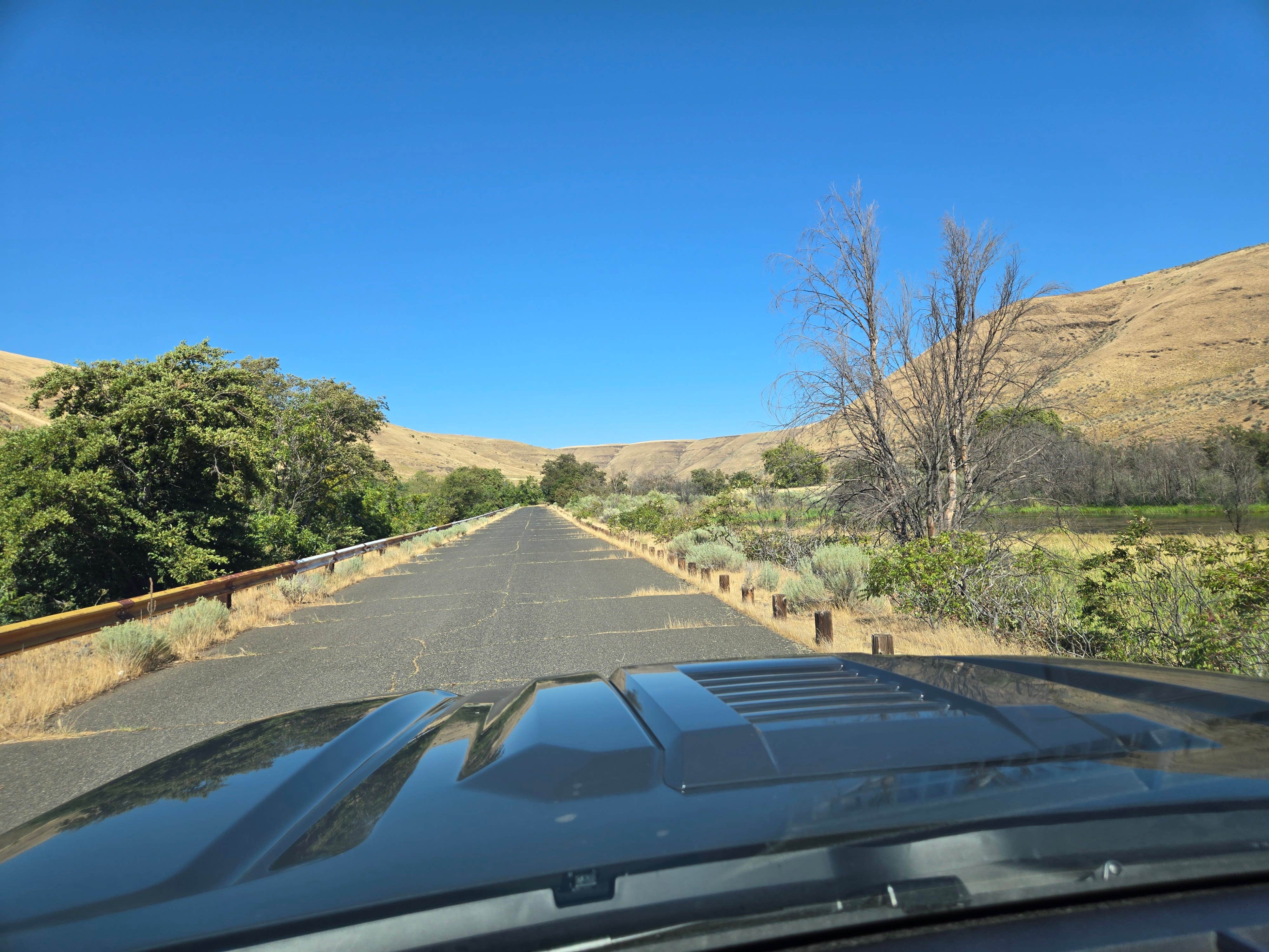 Camper-submitted photo at Patterson Slough on Rock Creek near John Day Lock and Dam, Lake Umatilla