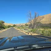 Review photo of Patterson Slough on Rock Creek by Steve M., August 20, 2025