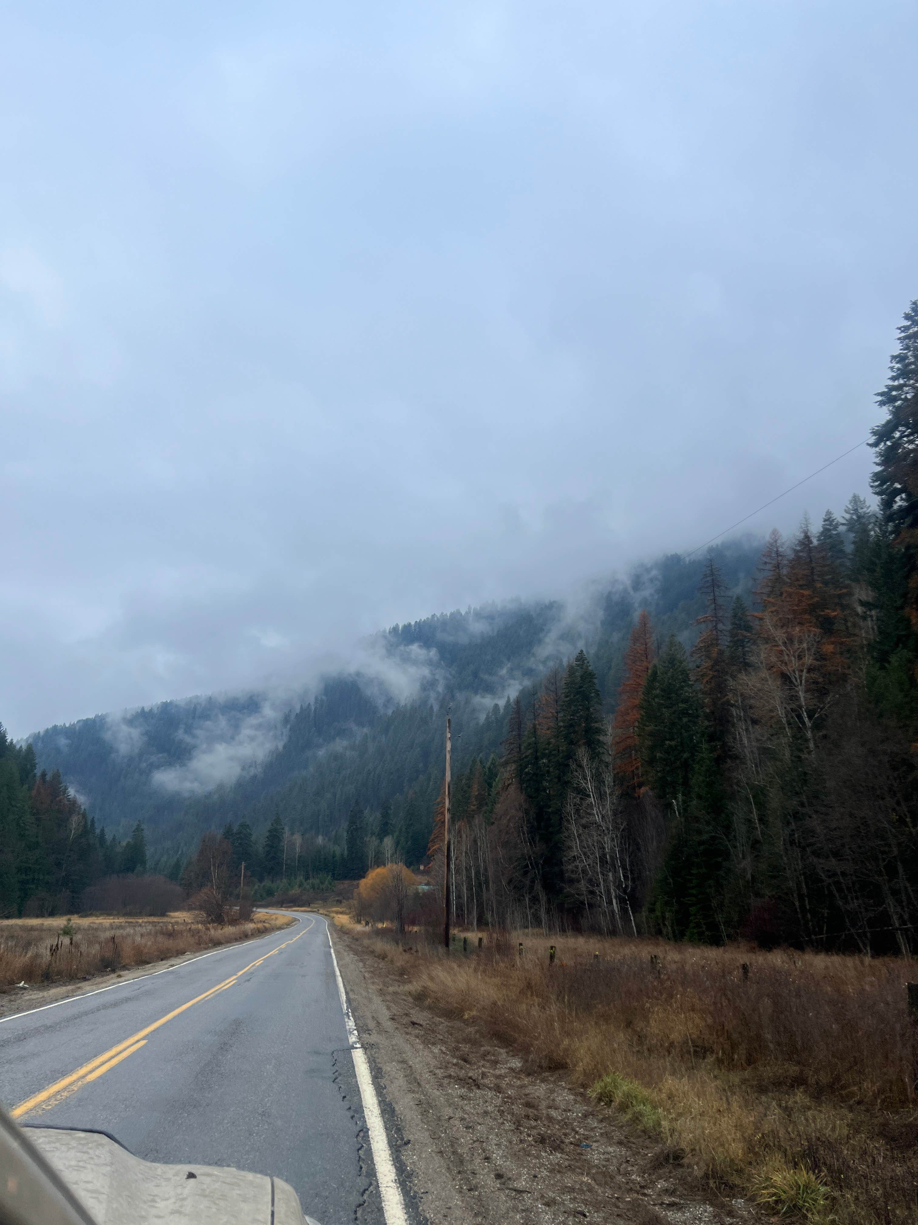 Camper submitted image from PauPac Road Camp Colville Ntl Forest - 4