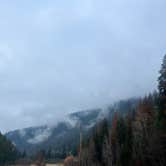 Review photo of PauPac Road Camp Colville Ntl Forest by Paige P., November 19, 2025