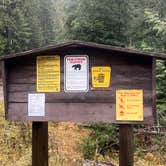 Review photo of PauPac Road Camp Colville Ntl Forest by Paige P., November 19, 2025