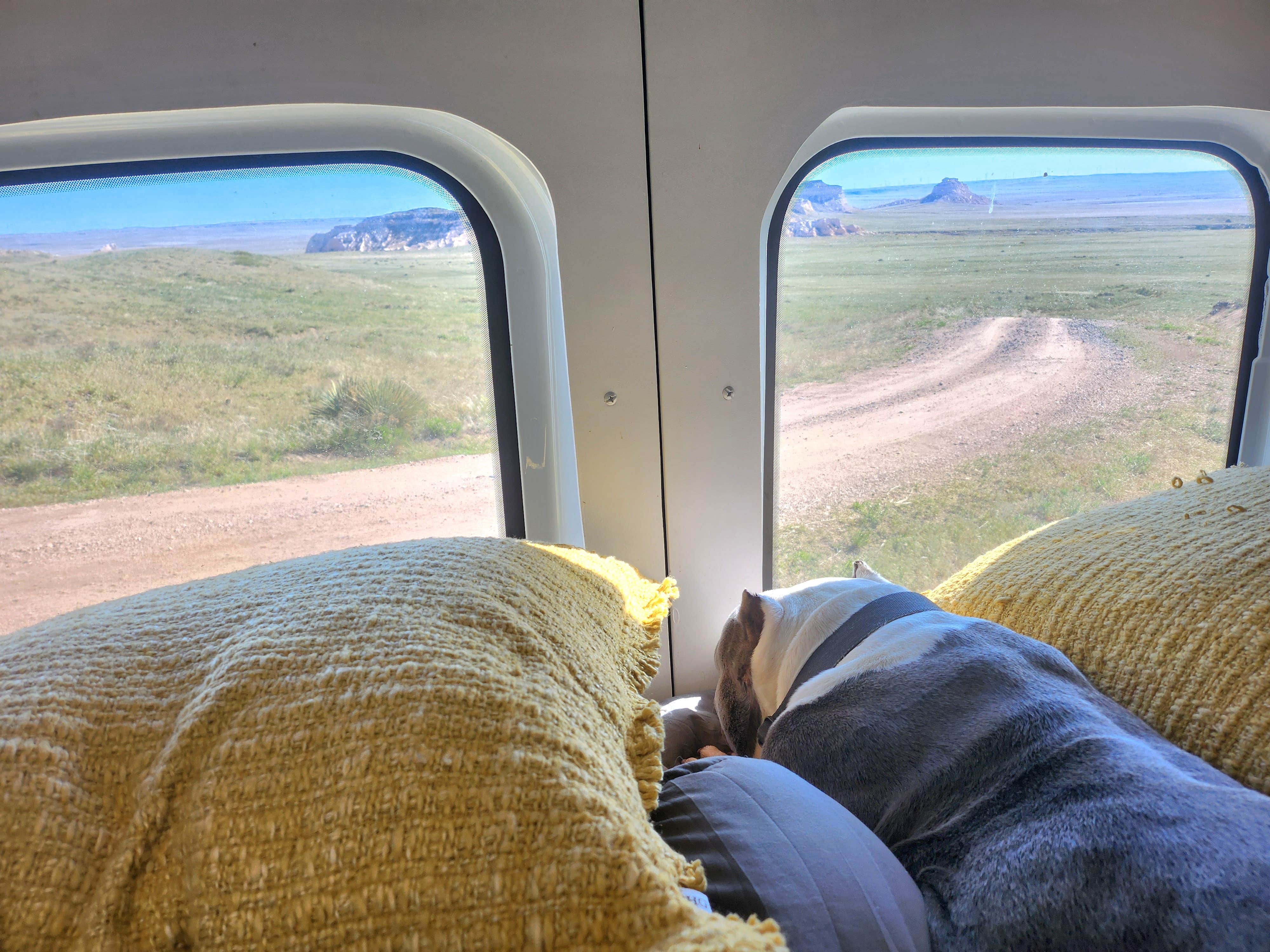 Kelda C.'s photo of camping with pets at Pawnee Buttes - Dispersed Camping near Orchard, CO
