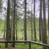 Review photo of Payne Campground by Lucy P., April 21, 2024