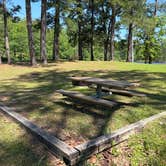 Review photo of Payne Lake Spillway by Hannah C., April 28, 2025