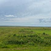 Review photo of Paynes Prairie Preserve State Park Campground by David G., May 5, 2024