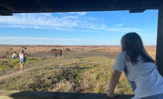 Joe R.'s photo of camping with a horse at Paynes Prairie Preserve State Park Campground near Palatka, FL