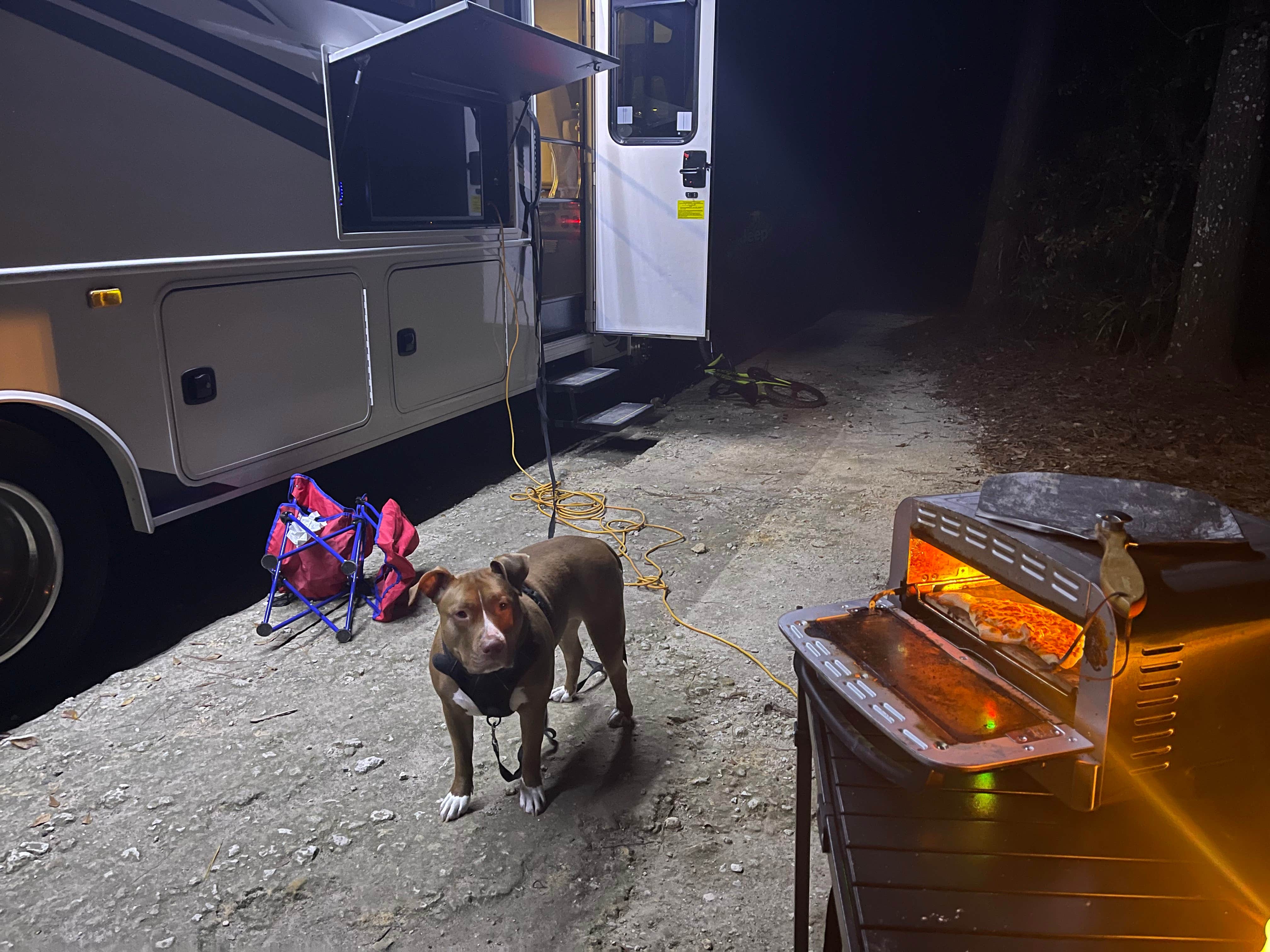 Joe R.'s photo of camping with pets at Paynes Prairie Preserve State Park Campground near Alachua, FL