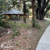 Review photo of Paynes Prairie Preserve State Park Campground by Erin M., May 26, 2024