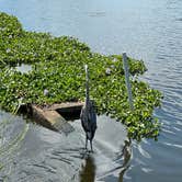 Review photo of Paynes Prairie Preserve State Park Campground by David G., May 5, 2024