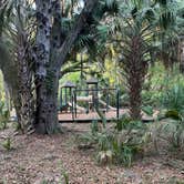 Review photo of Paynes Prairie Preserve State Park Campground by Erin M., May 26, 2024