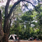 Review photo of Paynes Prairie Preserve State Park Campground by Jeff E., June 26, 2024