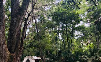 Jeff E.'s photo at Paynes Prairie Preserve State Park Campground near Williston, FL