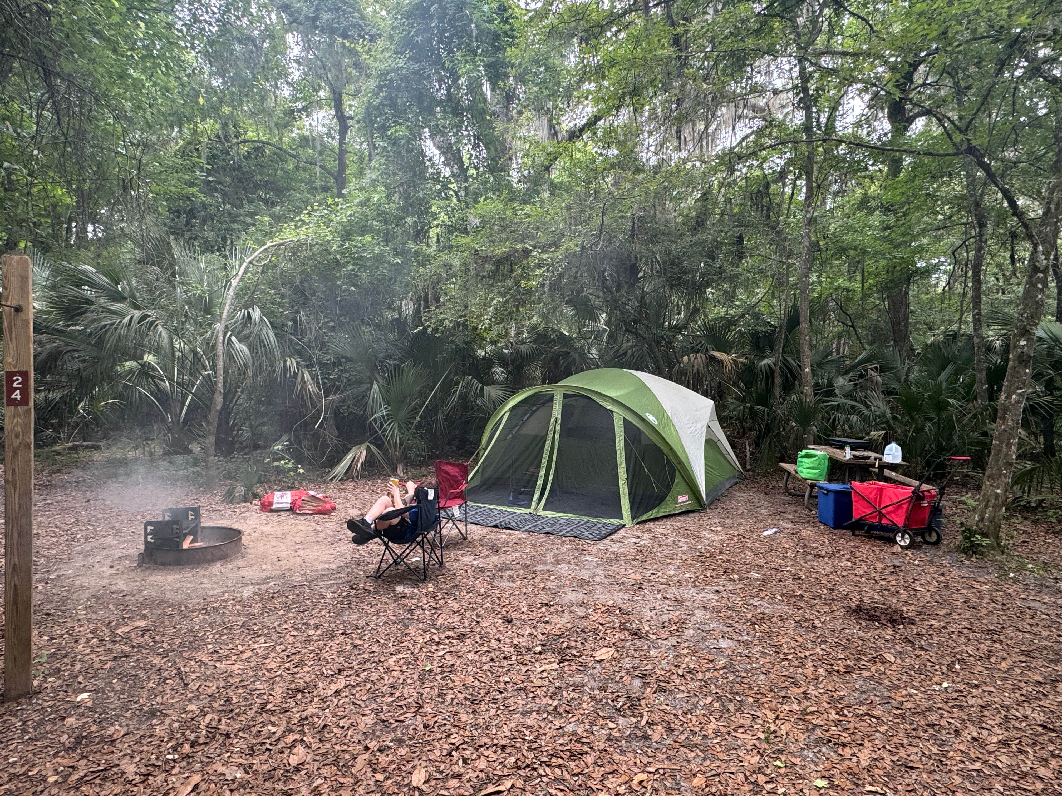 David G.'s photo at Paynes Prairie Preserve State Park Campground near Bronson, FL