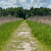 Review photo of Paynes Prairie Preserve State Park Campground by David G., May 5, 2024