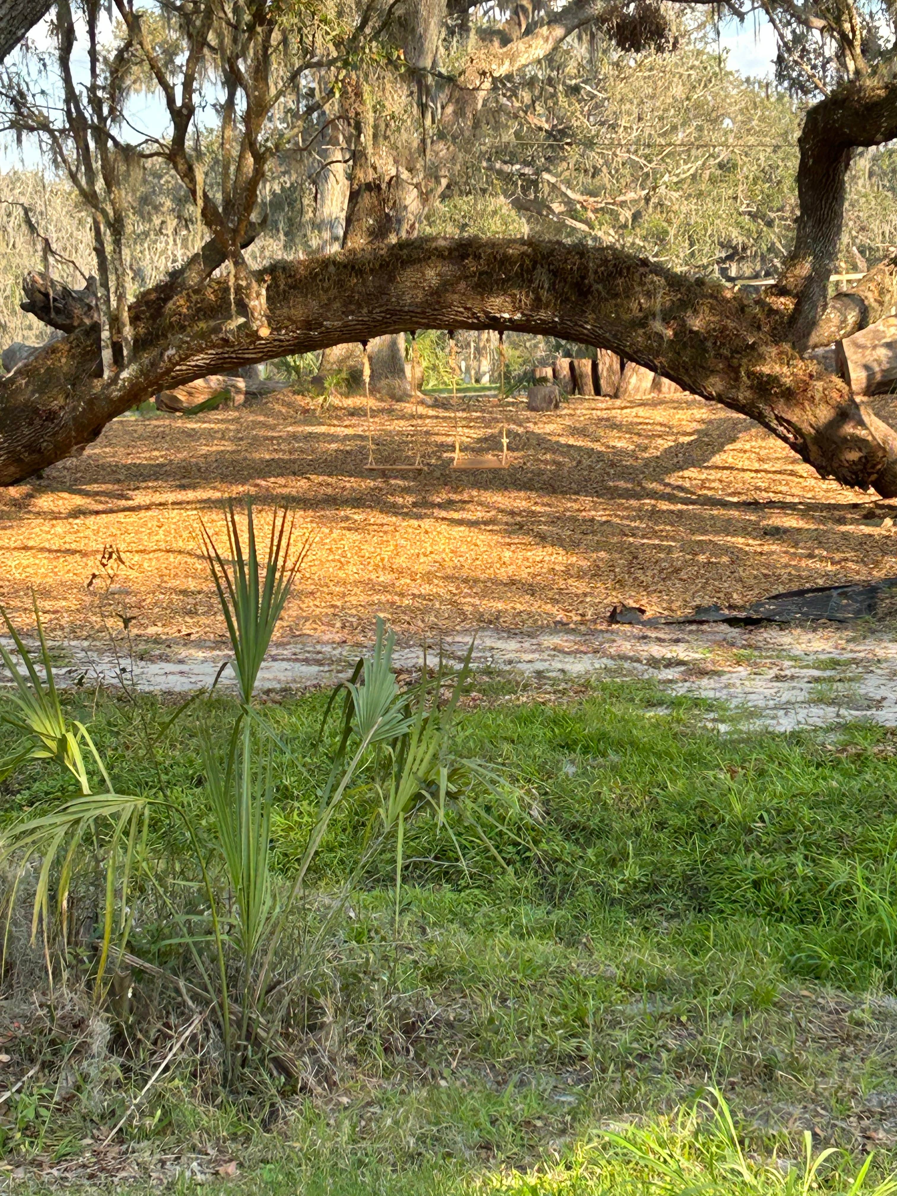 Camping near Pioneer Park: Peace River Oaks, Bowling Green, Florida