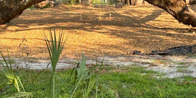 Camper submitted image from Peace River Oaks