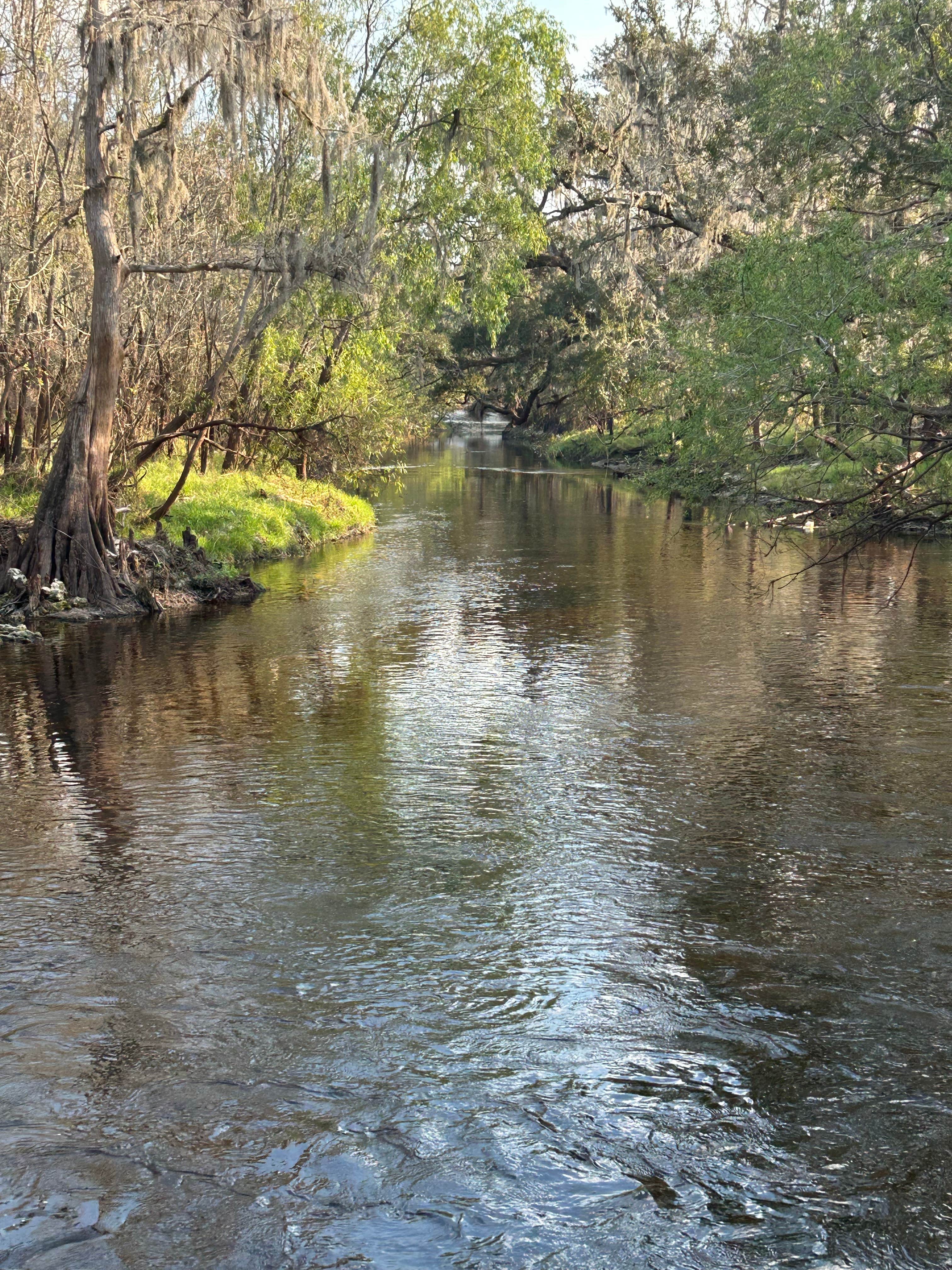 Camper-submitted photo at Peace River Oaks near Venus, FL