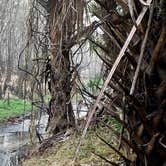 Review photo of Thousand Trails Peace River by Capt.Greg O., February 23, 2026