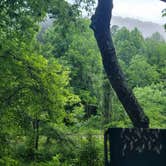 Review photo of Peaceful Cove Campground by David S., June 14, 2025